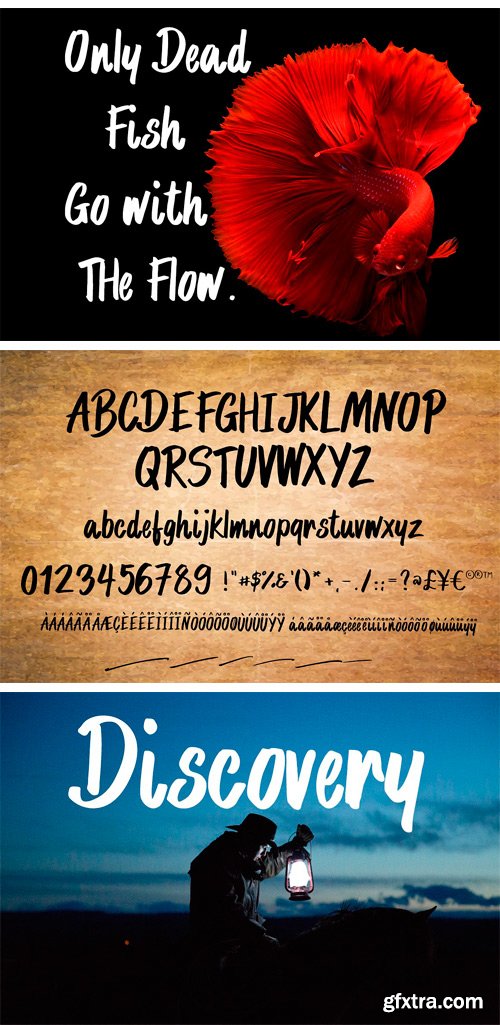 CM - Mr. Proxy | Handwritten Font 1681718