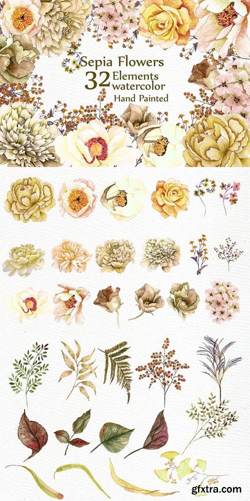 CM - Watercolor Sepia flowers Clipart 1632764