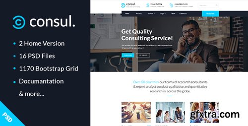 ThemeForest - Consul - Business & Training PSD Template 20183799