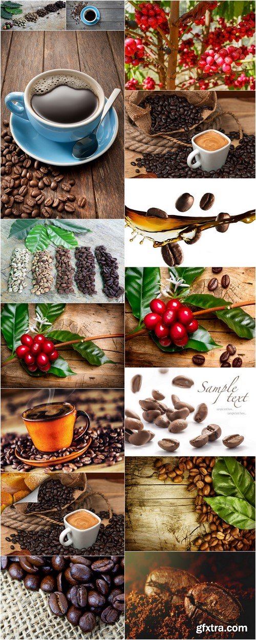 coffee beans