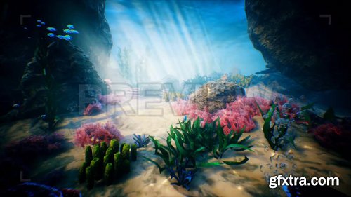 MA - Ocean Life MA - Ocean Life