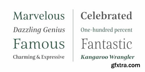 Belda Font Family, Historic Influence 54 OTF & TTF