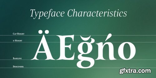 Belda Font Family, Historic Influence 54 OTF & TTF