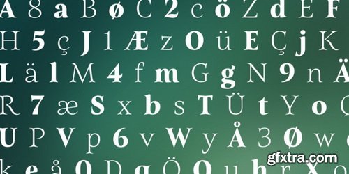 Belda Font Family, Historic Influence 54 OTF & TTF