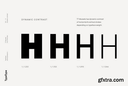 TT Mussels Font Family $119