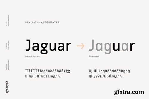 TT Mussels Font Family $119