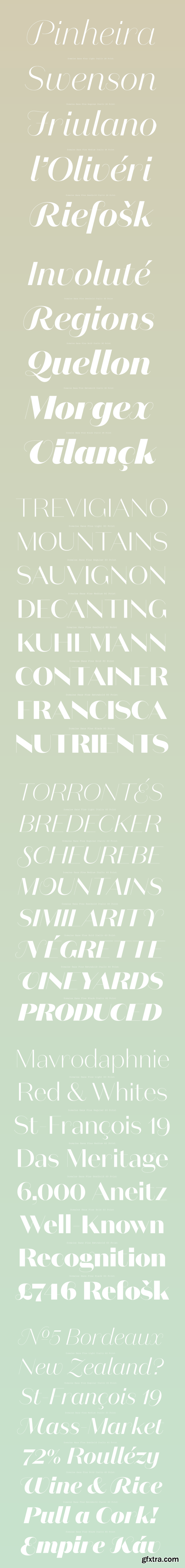 Domaine Sans Fine Font Family
