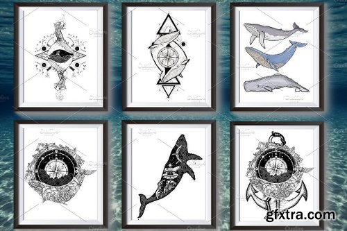 CreativeMarket Whale collection 1802997