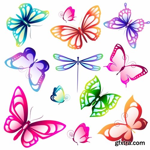 butterfly wing insect vector image 25 EPS