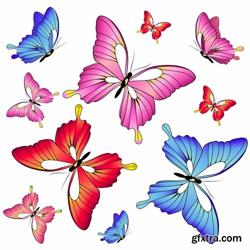 butterfly wing insect vector image 25 EPS