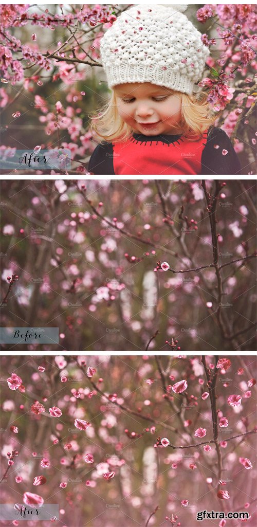 CM - Fine Art Blossom Overlays 1804174