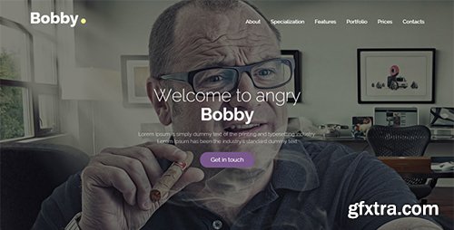ThemeForest - Bobby v1.0 - Creative Service Instapage Landing Page - 19476255