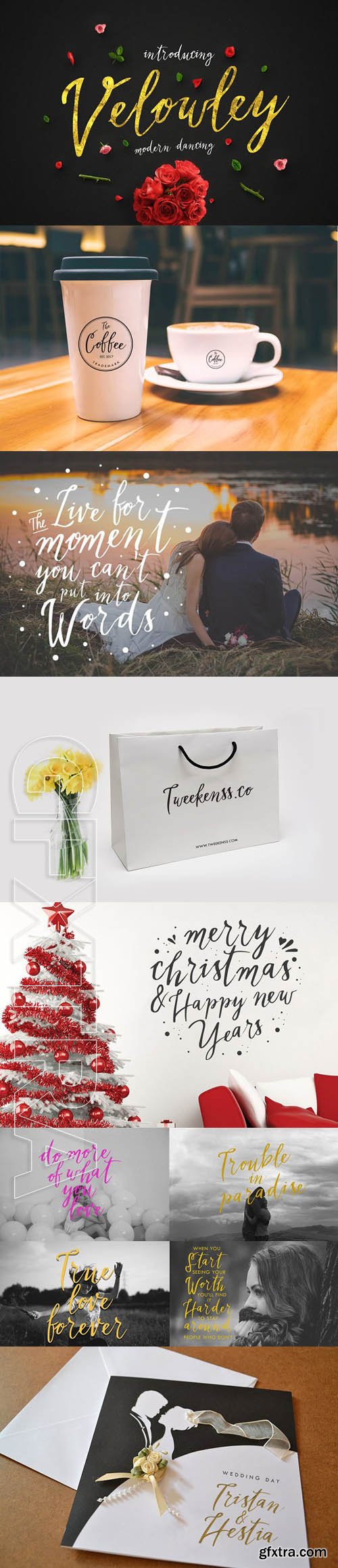 CreativeMarket - Velowley 1860691