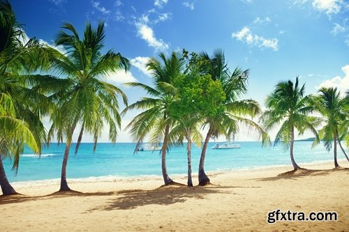 Island in an ocean of tropical forest Palm Beach Resort Sea 25 HQ Jpeg
