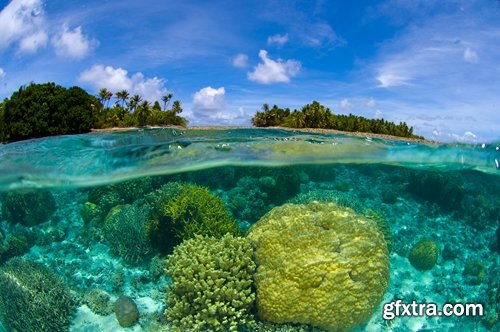 Island in an ocean of tropical forest Palm Beach Resort Sea 25 HQ Jpeg