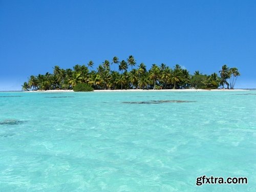 Island in an ocean of tropical forest Palm Beach Resort Sea 25 HQ Jpeg