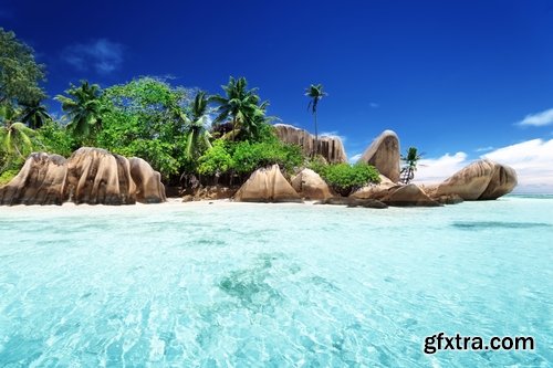 Island in an ocean of tropical forest Palm Beach Resort Sea 25 HQ Jpeg