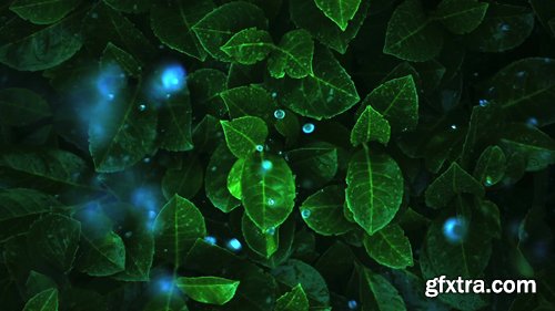 Fluorescent plants. Chemically modified leaves, shine at night. Watered with chemical water with a bright color