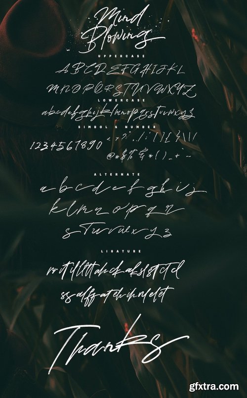 CreativeMarket Mind Blowing 3 Brush Font Set 40%OFF 1475831