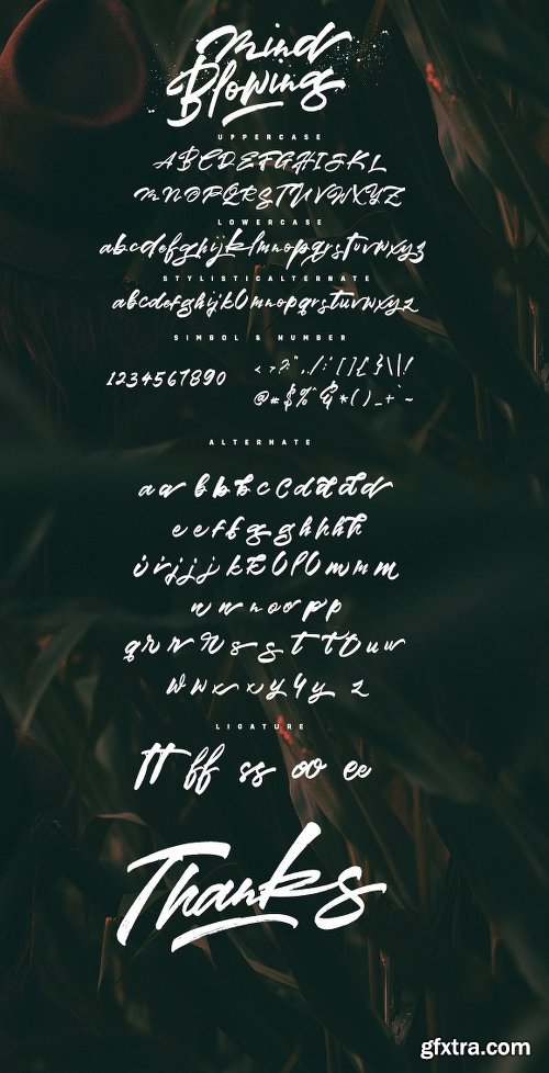 CreativeMarket Mind Blowing 3 Brush Font Set 40%OFF 1475831