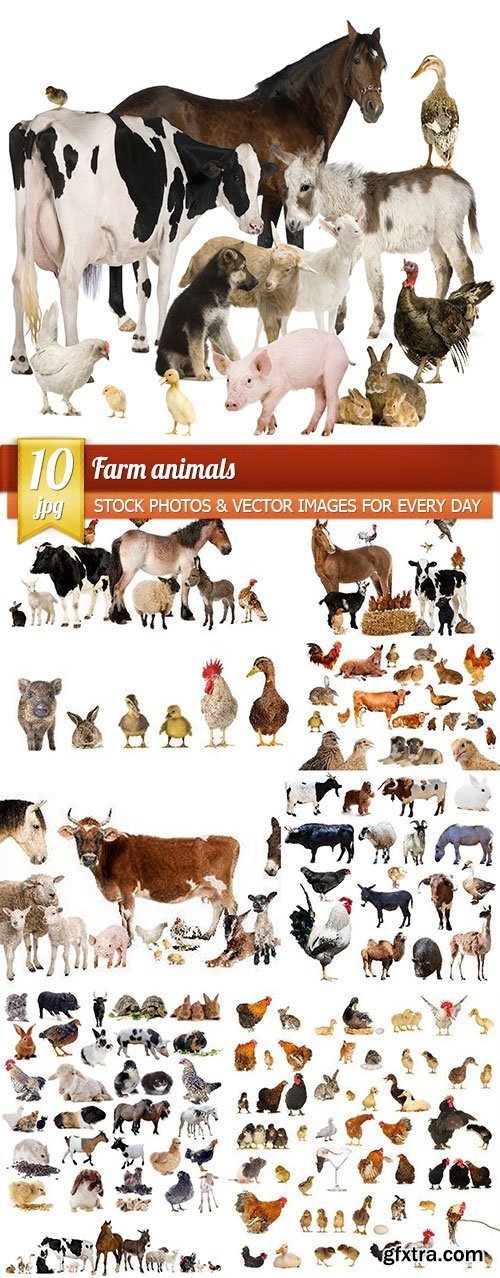 Farm animals, 10 x UHQ JPEG