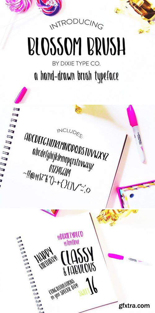 CM - BLOSSOM BRUSH Font 1868671