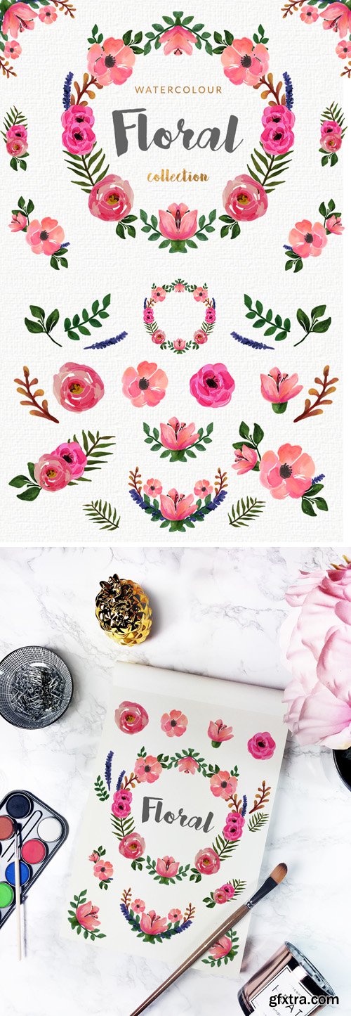 Watercolor Floral Collection - Transparent Png Elements