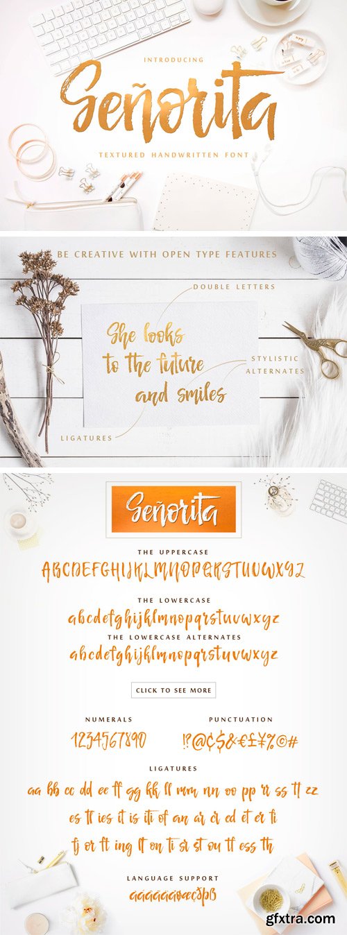 CM - Senorita Handwritten Textured Font 1937996