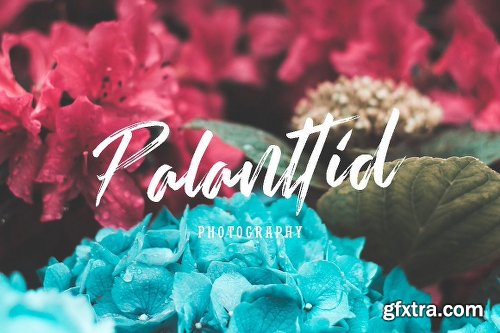 CreativeMarket Rallifornia Brush Font 1968089