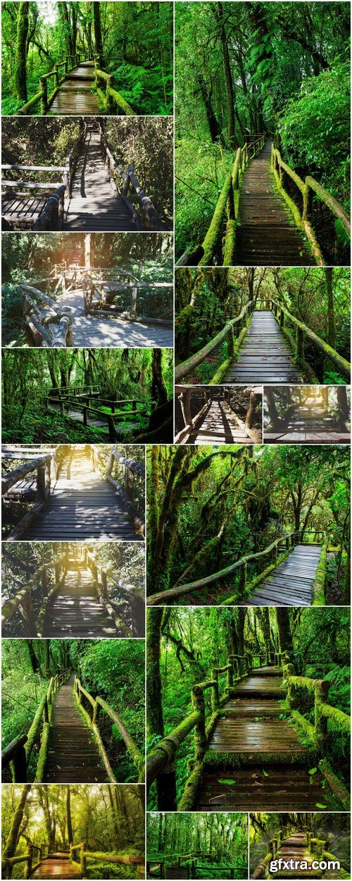 Ancient mysterious bridges