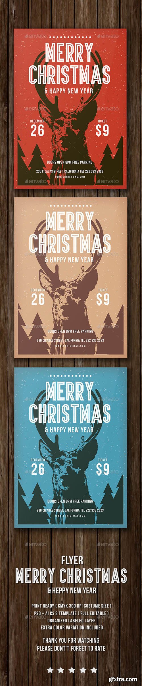 GR - Christmas & Heppy New Year Flyer 13620864