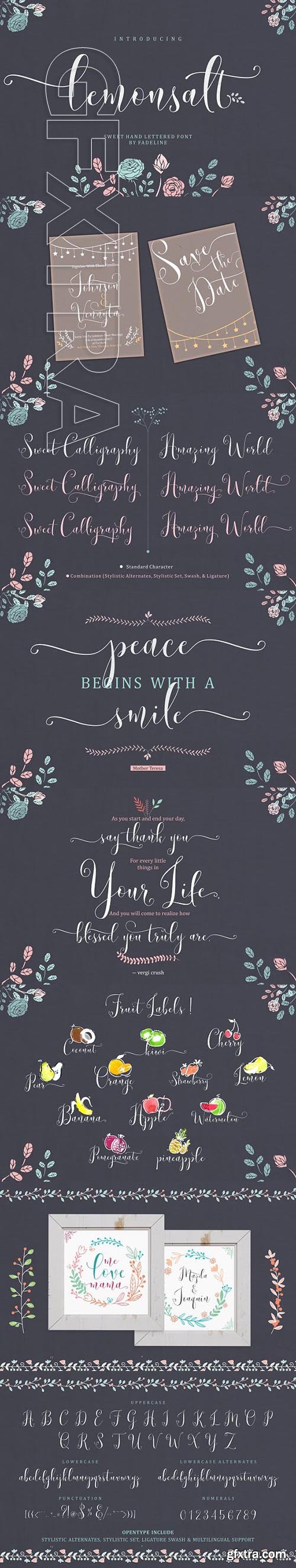 CreativeMarket - Lemonsalt Script 1969434