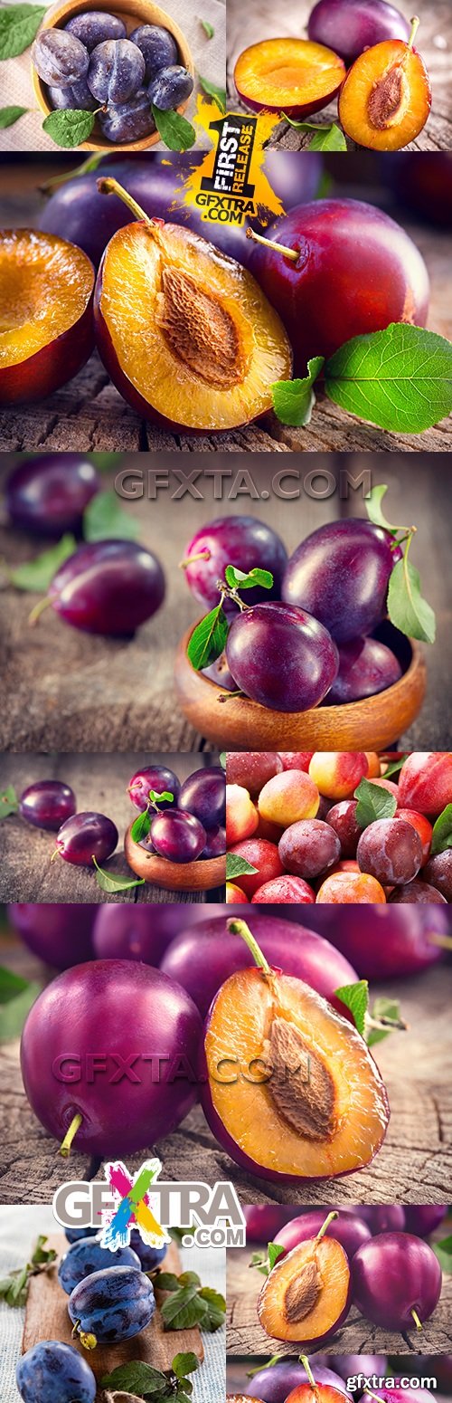 Plums ripe and juicy fruit on wooden table