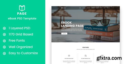 ThemeForest - Page - eBook Selling Landing Page PSD Template 20658486
