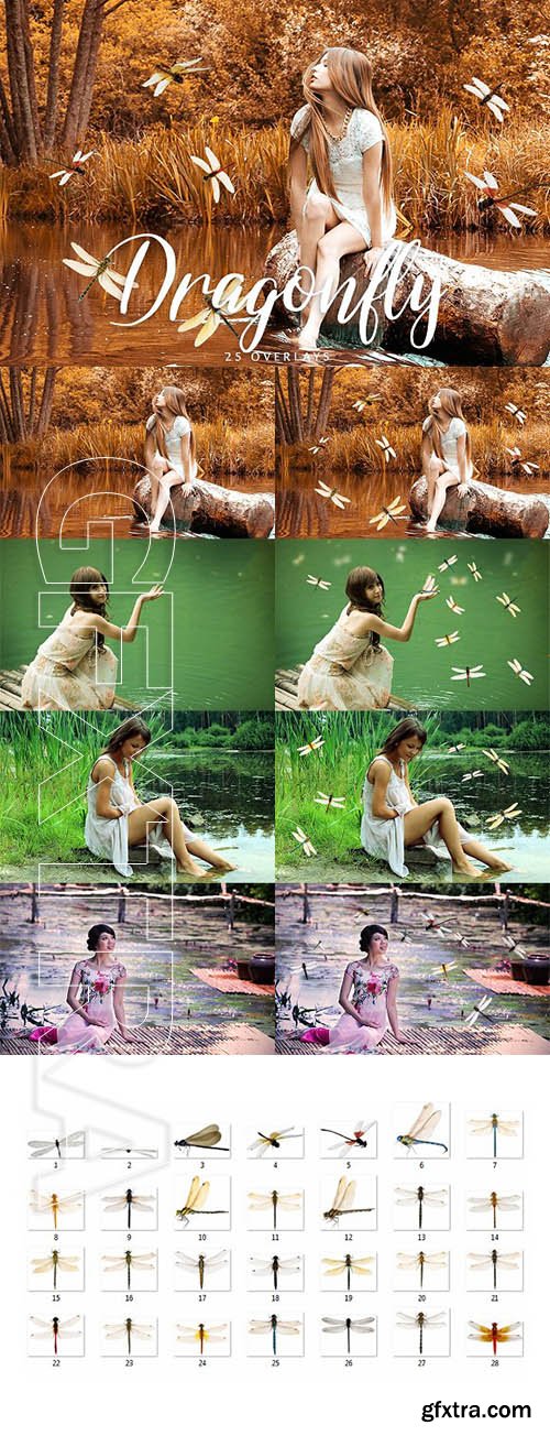 CreativeMarket - Dragonfly Overlays - 25 Overlays 2001484