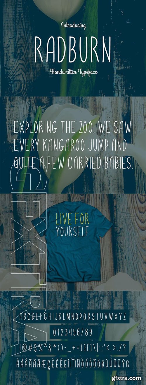 CreativeMarket - Radburn Typeface 2003048