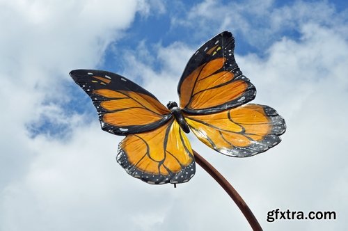 Butterfly macro conceptual illustration nature plant flower 25 HQ Jpeg