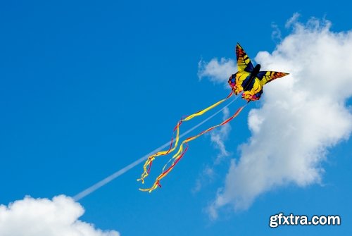 Butterfly macro conceptual illustration nature plant flower 25 HQ Jpeg