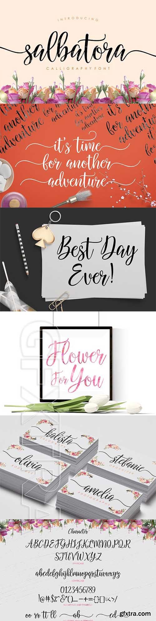 CreativeMarket - Salbatora Script 2019431
