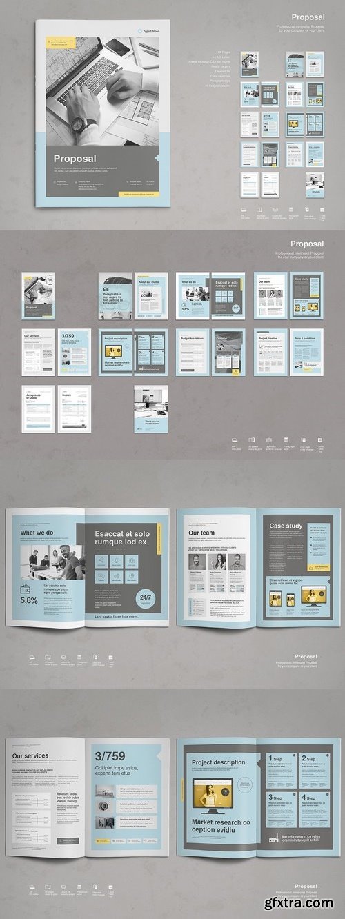 CM - Professional Proposal 1376964