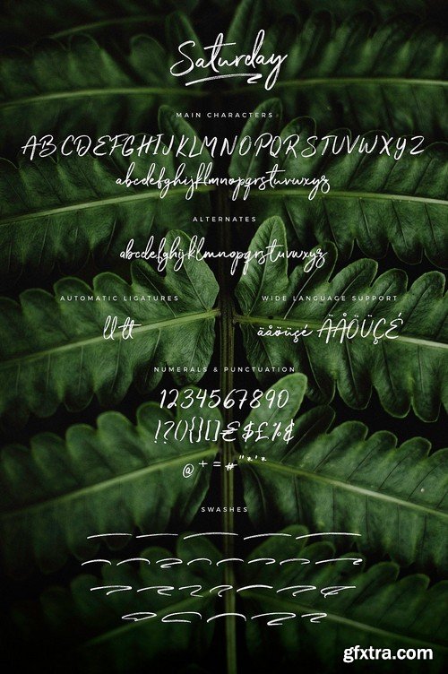 CM - Typographer''s Dream Box + 200 Logos 1954506