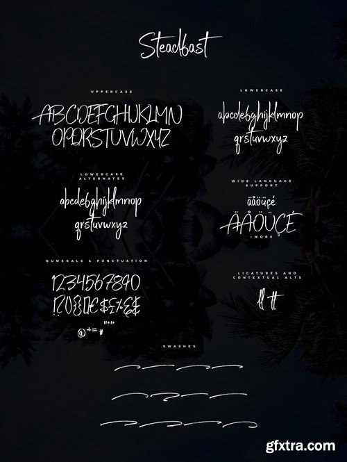 CM - Typographer''s Dream Box + 200 Logos 1954506