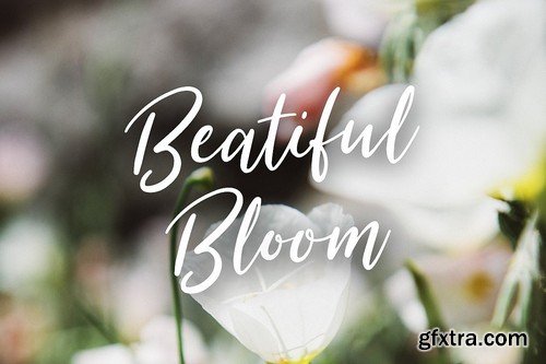 CM - Typographer''s Dream Box + 200 Logos 1954506