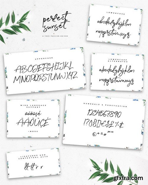 CM - Typographer''s Dream Box + 200 Logos 1954506