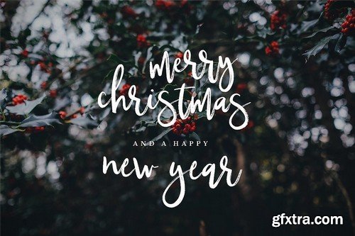 CM - Typographer''s Dream Box + 200 Logos 1954506