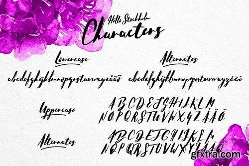 CM - Typographer''s Dream Box + 200 Logos 1954506