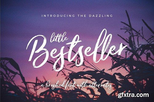 CM - Typographer''s Dream Box + 200 Logos 1954506