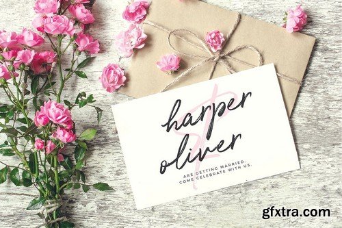 CM - Typographer''s Dream Box + 200 Logos 1954506