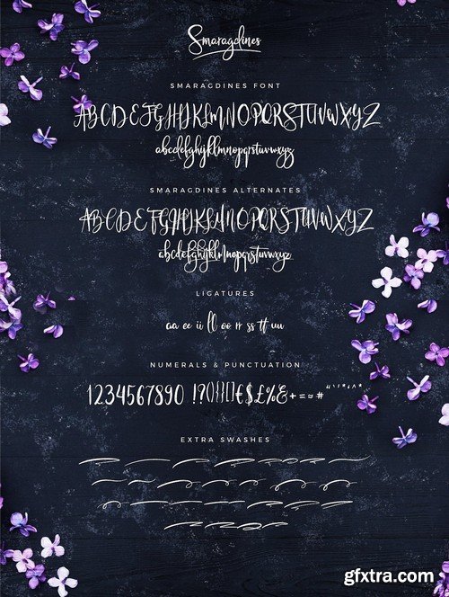 CM - Typographer''s Dream Box + 200 Logos 1954506