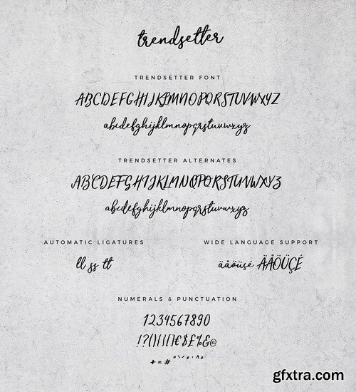 CM - Typographer''s Dream Box + 200 Logos 1954506